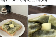 【画像】カビた食パンを食べる日本人ヤバすぎるｗｗｗｗｗｗｗｗｗｗｗｗｗｗｗｗｗｗｗ