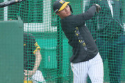 阪神　森下翔太、エース級左腕攻略でアピールだ　23日「６番右翼」で中日小笠原、大野雄と対決