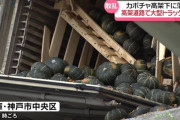 高架道路で大型トラック横転、大量のカボチャが高架下に落下