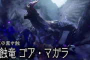 【モンハンサンブレイク】通常ゴアマガラを楽に倒せる武器教えて
