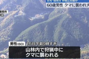 【群馬】仲間５人と狩猟中の男性、クマに襲われけが…搬送時に意識なし