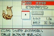 素手でタイマンで勝てそうなポケモン