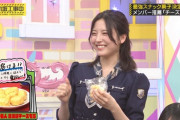 【乃46】じゃあ逆にこれがNo.1だって菓子挙げてみろよwwwwww