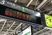 「日本は電車が時間通りに来る」外国人が羨ましい他国の文化を語る