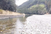 【田辺市】田辺川湯キャンプ場【動画】歩ける距離に川湯温泉も♪