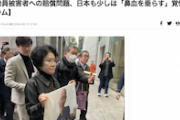 【？】韓国ハンギョレ「日本も少しは『鼻血を垂らす』覚悟を」