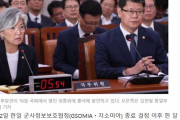 ( ´_ゝ`) 韓国報道「おかしい。GSOMIA破棄して1ヶ月・・日本が何も言ってこない」「韓国には『再検討』と言い出す名分が必要なんだが？」
