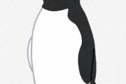 【画像】ペンギンってよく見ると顔怖くね