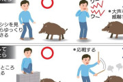 【画像】イノシシと遭遇した場合のライフハックが公開される