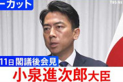 韓国メディア「小泉防衛相が『原潜の保有を排除しない』って発言した。ギャオーン!!」→「米海軍から『日本は原潜保有すべき、韓国には理由がない』って言われた。オンギャー!!!」……だってキミら、本当にゲームのトロフィー感覚で原潜保有しようとしてるじゃん