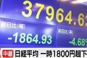 楽韓さん、本日の動向 - なんとか日経平均、2000円下落で済んだか……