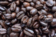 【呆然】ワイ、毎日庭にコーヒーかすを撒いた結果・・・・・・