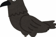 カラスが変な遊びしてるんだが賢すぎて草