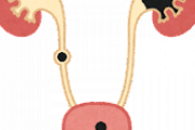 【医療】お前ら尿管結石だけは注意しろよ