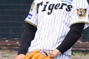 【悲報】阪神石井WBC辞退
