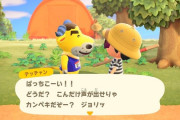 【あつまれ どうぶつの森】住民リセマラは甘え、初期住民こいつだぞ