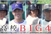 2018ドラフトBIG3、根尾・小園・藤原の成績がこちらωωωωωωωωω