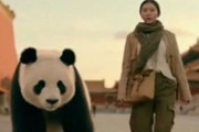 中国人「日本人がイメージする中国人はどんな感じ？」　中国人「ほぼ真実」「郷に入っては郷に従え」