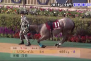 【話題】リフレイムがパドックで寝ようとしてて可愛い【競馬】