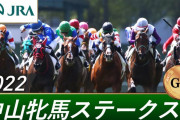 オルフェーヴル種牡馬大成功！！