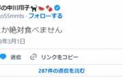 【朗報】中川翔子さん、コオロギ否定派だった「絶対に食べません」