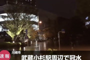 台風で冠水した路上で浮き輪を使って遊び始める人が現れる