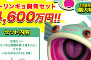 【乃木坂46】 #トリンギョ グッズ販売決定！その値段4,600万円！！！