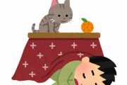 『こたつで寝ると風邪をひく』、本当のところは？