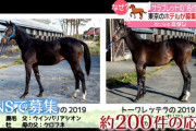 ホテルが競走馬の名付け親募集　応募続々