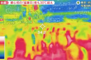 【緊急】80代、暑さに絶望「この国はもう日本ではない」