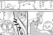 「え…なに？」赤ちゃんに攻撃しようとする猫、慌てて止めに入ったら…