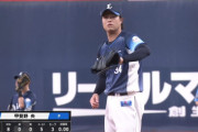 西武・甲斐野央が20H＆20S達成！NPB史上3人目の快挙
