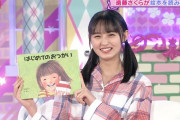 今更だが、正直これはみなみちゃんの企画並みに手抜きだったよなｗｗｗ【乃木坂46】