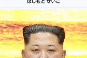橋本聖子のWikipediaがおかしいんだがｗｗｗｗｗｗ （※画像あり）