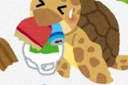 【ウミガメ】そもそもレジ袋誤飲して死ぬ生物ってどうなの？頭悪すぎない？陸でこんな馬鹿な生物いる？