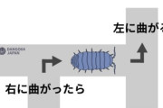 人間に自由意識は無かった　ダンゴムシで解明　壁に当たると右に曲がるを繰り返す（画像あり）