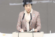 【小池百合子】東京都の太陽光パネル義務化、可決される