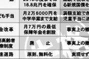 【頭が山本太郎】立憲民主党・枝野幸男「消費税率５％への時限的引き下げ、所得税の実質免除や低所得者へ現金給付します！（※財源は不明）」悪夢の民主党政権再び