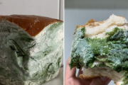 パンにもっさりカビが生えてる？いいえ違います。食べたらおいしい抹茶パンのビジュアルが話題に