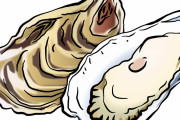 【正論】「牡蠣」ってデカければデカいほど美味いってわけじゃない理由がコチラｗｗｗ