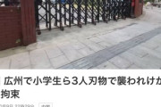 【悲報】中国で小学校襲撃がブームになってしまう