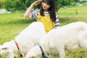 【乃木坂46】「志村動物園』観たヲタによる”与田祐希の新情報”がコチラｗｗｗｗｗ