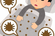 ダニまみれで痒くなる布団、窓を〇〇しただけで全く痒くなくなったｗｗｗｗｗｗｗｗｗｗｗｗ