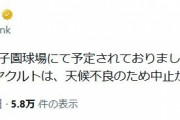 甲子園の阪神対ヤクルト戦、天候不良のため中止