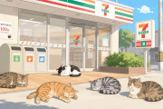 日本人「近所のセブンに野良猫たちが陽だまりで猫たまりになってたｗｗｗ」【タイ人の反応】