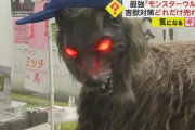 【害獣対策】「モンスターウルフ」 一式60万円も160台販売済みｗｗｗｗｗｗｗｗｗｗｗｗ