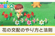 【驚愕】「あつまれどうぶつの森」の花の交配の仕組みは実際の遺伝学に基づいていた！！
