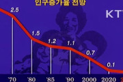 韓国人「韓国人が絶滅の段階に‥」ソウル出産率0.69人を記録し絶滅の道に入った水準　韓国の反応