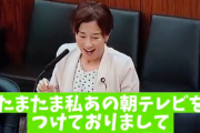 タレント議員・松野明美さん　国会で『あんぱん』について熱く語る