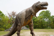 【画像あり】福井県のガキが破壊した恐竜のモニュメント、1億円もする高級品だったｗｗｗｗｗｗｗｗｗ